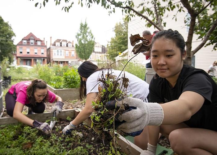 CMU student working in the community garden